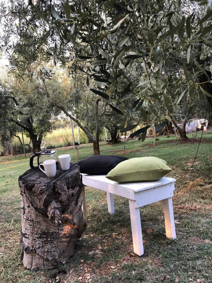 Green Olive Studios 2 Agios Mamas  Bagian luar foto