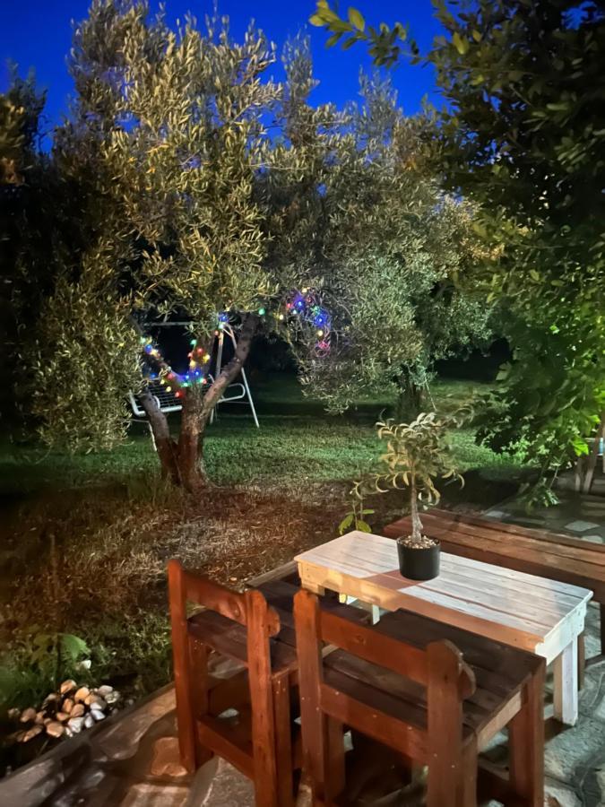 Green Olive Studios 2 Agios Mamas  Bagian luar foto